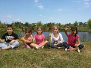 PICNIC TOUCHED ROMANIA